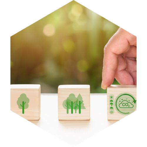 Climate Change and Sustainability