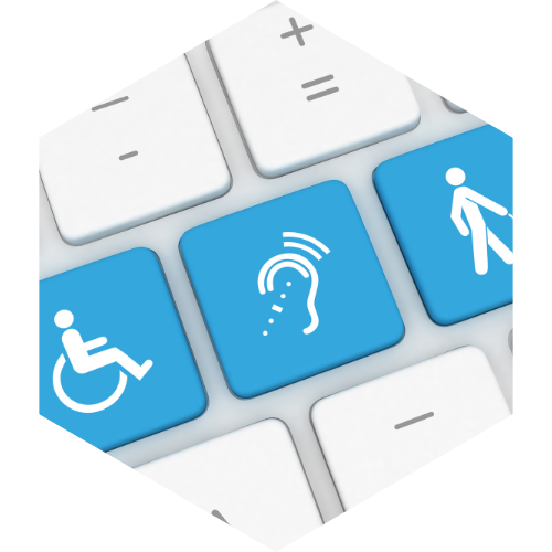 Digital Inclusion and Accessibility
